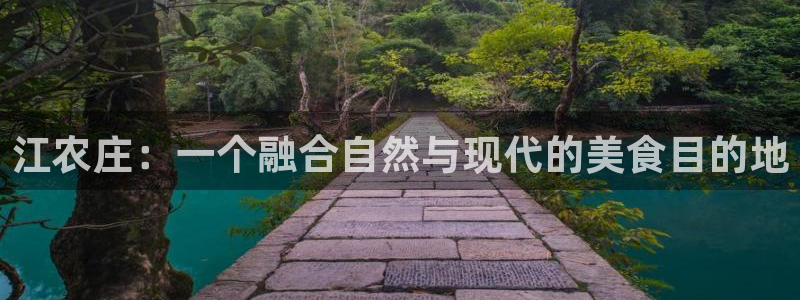 九游会亚游