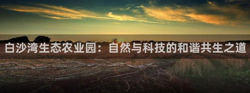 九游会平台聊天