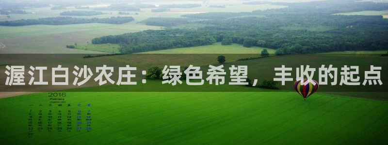 AG九游会_9游会
