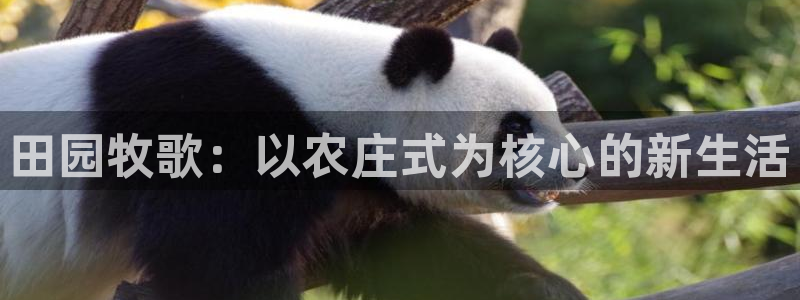 九游会真人