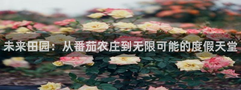 j9九游会手机