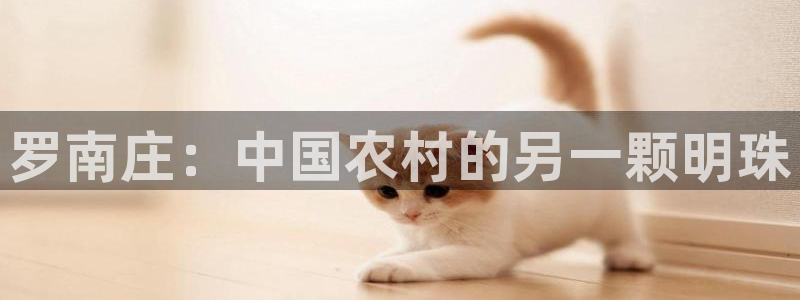 九游会气派