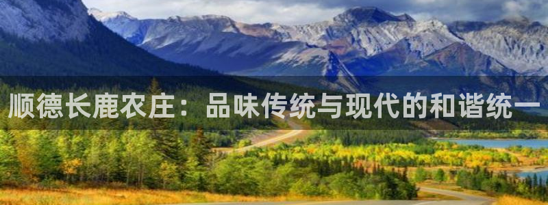 九游会网站网