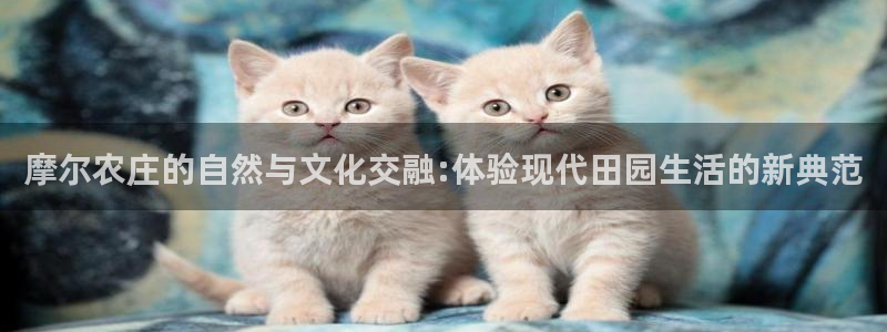 九游会官网j9j9