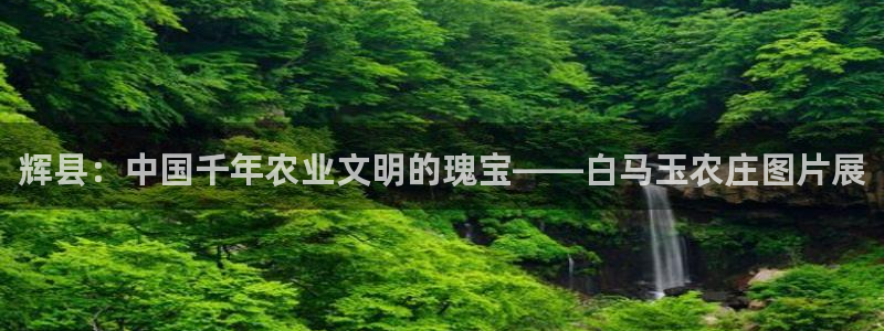 做九游返利会封号嘛