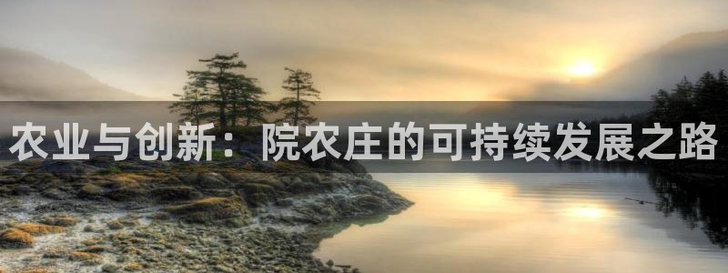 久游九游会