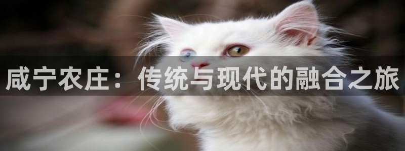 九游为什么会感染病毒