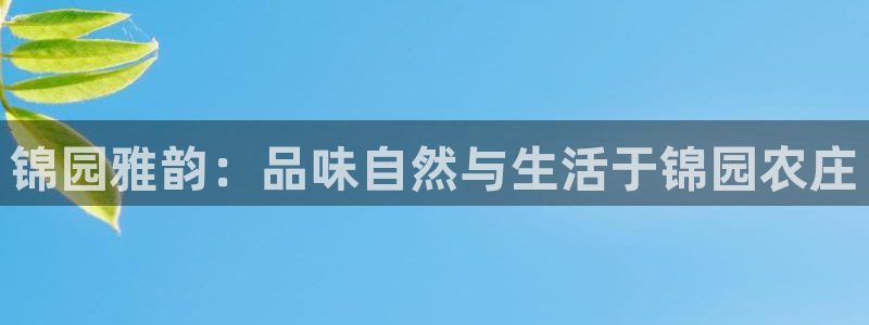 亚游和九游会