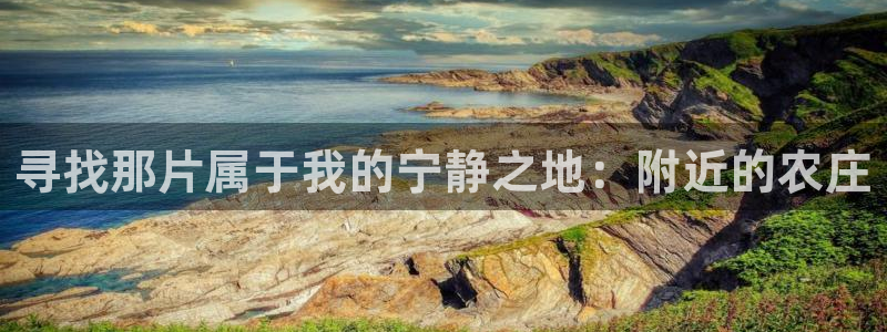 九游账号会丢吗吗