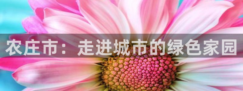 ag九游会亚洲官网