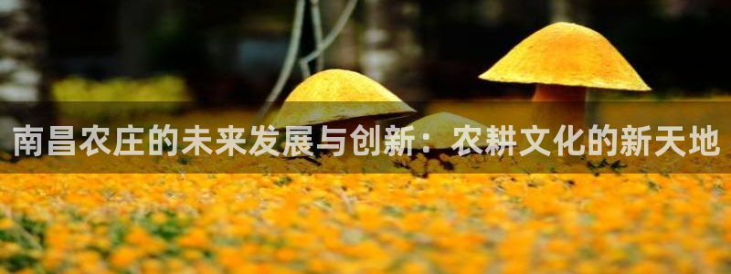 九游会ag群聊