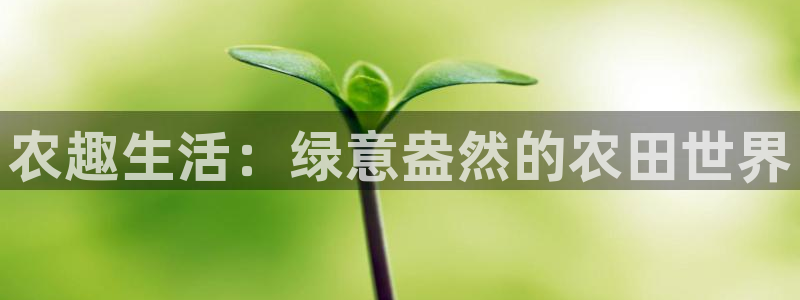 九游游乐会电话