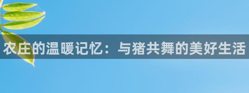 江苏九游会木业
