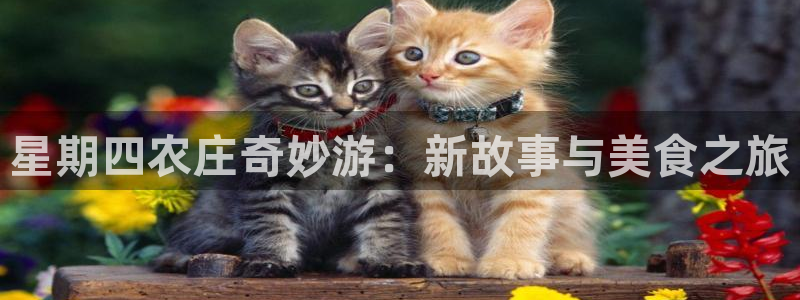 亚洲九游会