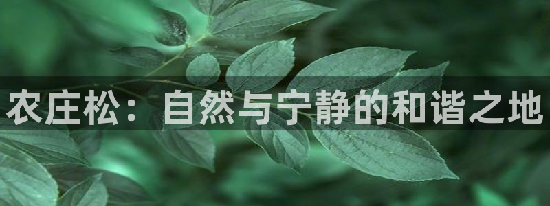 九游会网页版官网