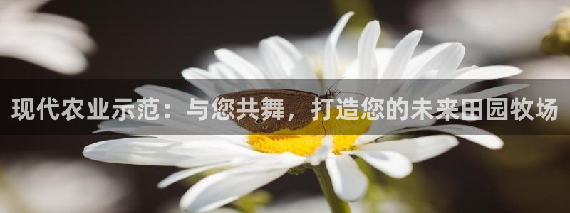 ag九游会真人