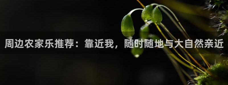 九游会怎么打不开了