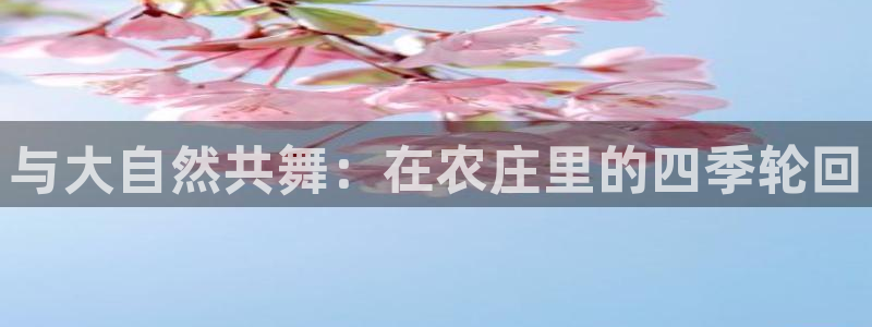 ag和九游会