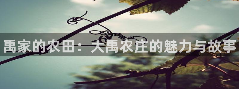 九游会老哥俱乐部网站