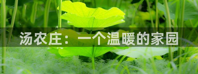 九游会台子