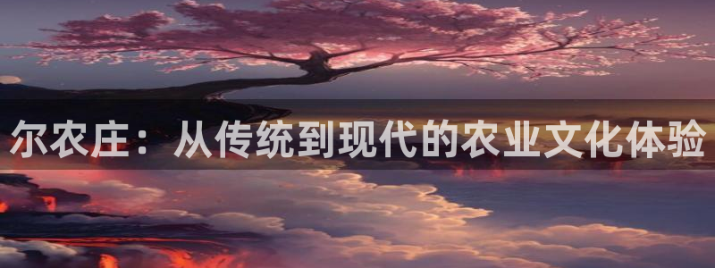 九游会怎么提款