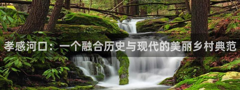 九游会手机端