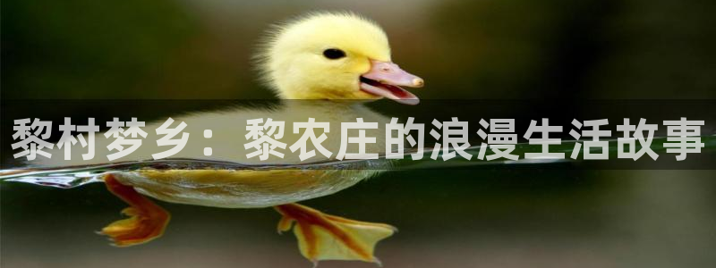 九游会最新线路