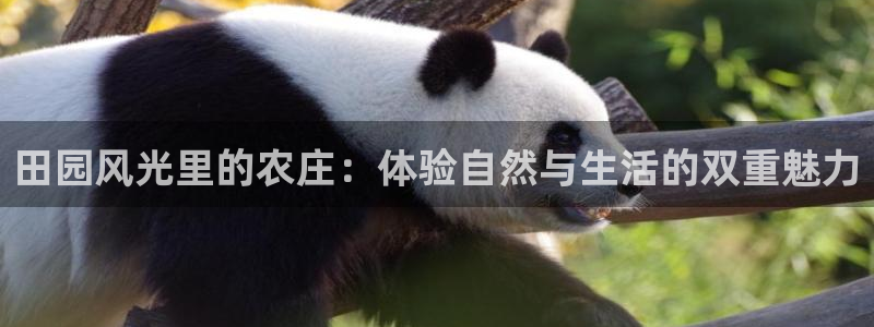 九游是否会倒闭