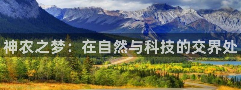 什么是九游会
