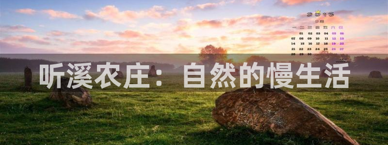 九游账号会清除