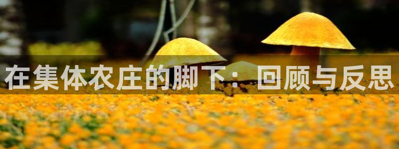 九游会官网直营店