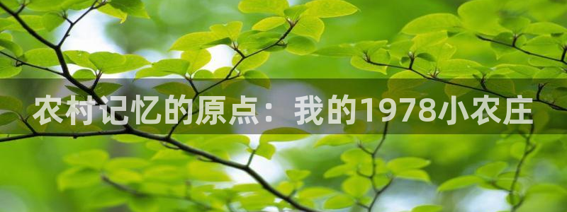 九游会官网首页进入