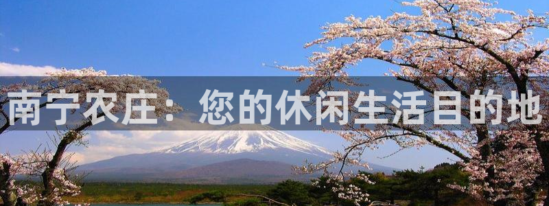 九游会黑网投诉吗