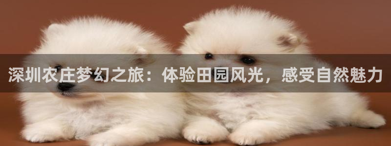 九游会官网平台下载
