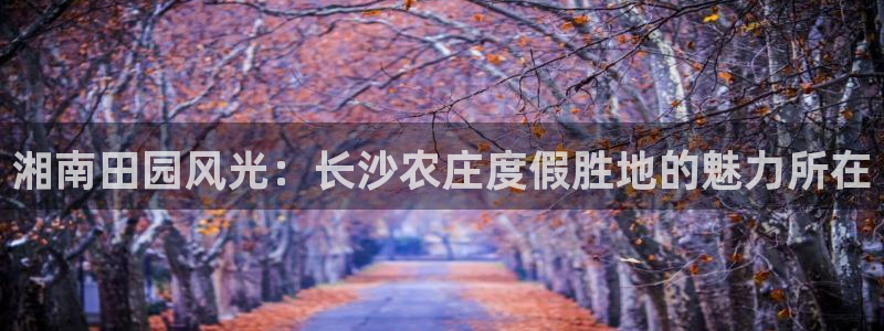 九游会冲