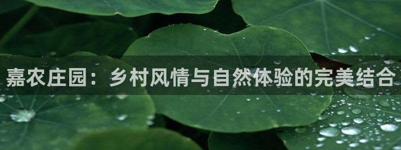 九游会J9国际