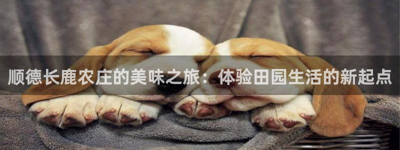 九游会网址九