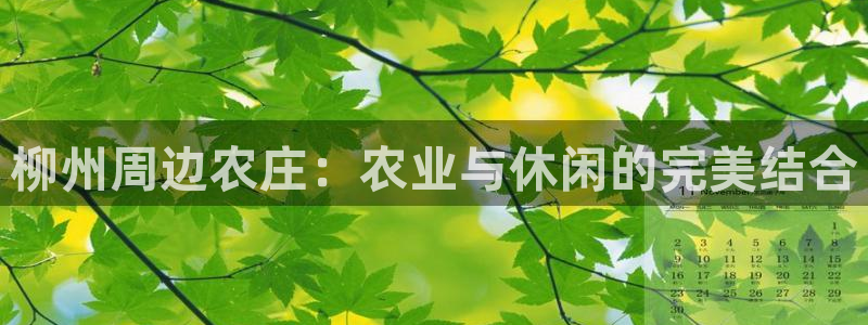九游会网址多少九