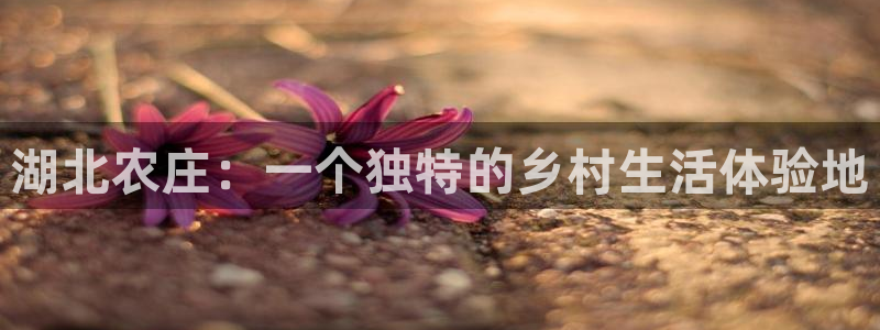 九游会平台官