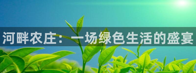 九游会这这个网站怎么样
