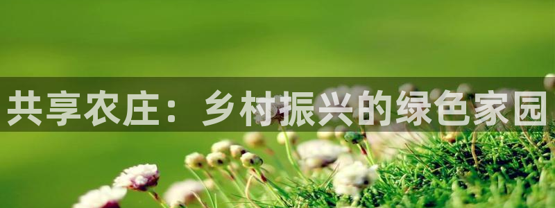 九游会财神