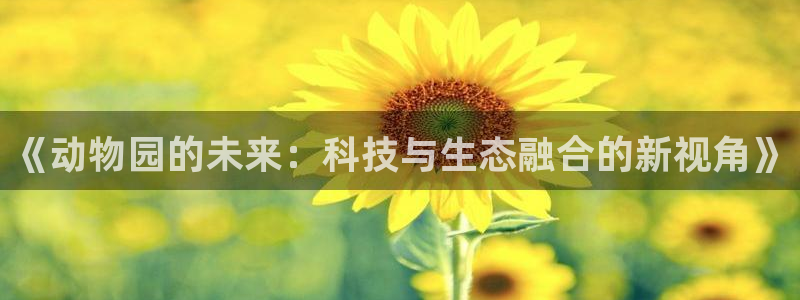 北京冬奥会九游