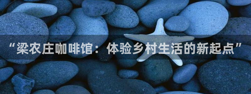 九游会娱乐