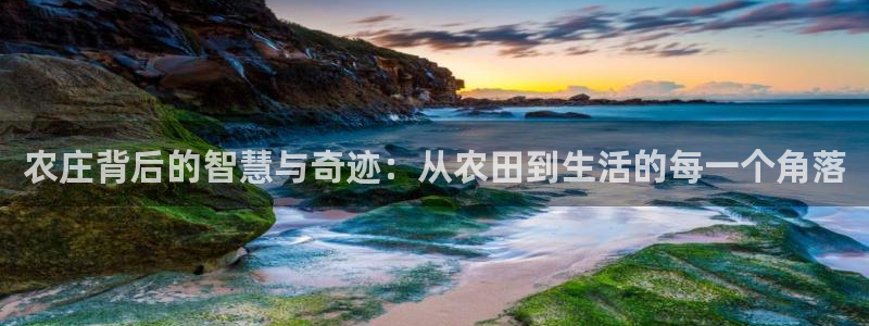 ag九游会明星代言