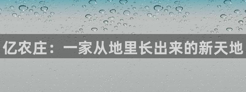 九游会平台官