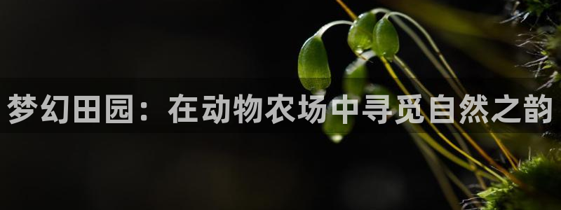 j9九游会国际站