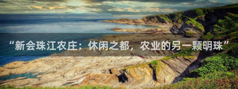 九游会网页版官网下载