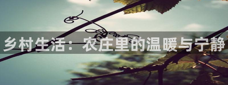 九游会阿里28理财源码