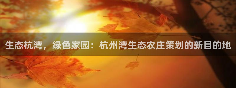 九游光遇买东西会优惠吗