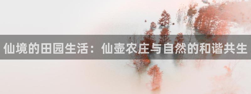 ag九游会官网app